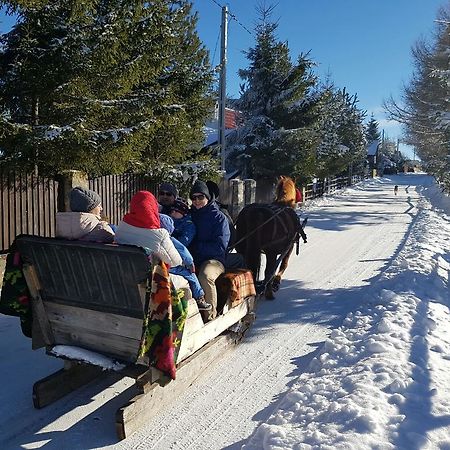 Pension Doru Beliş Εξωτερικό φωτογραφία